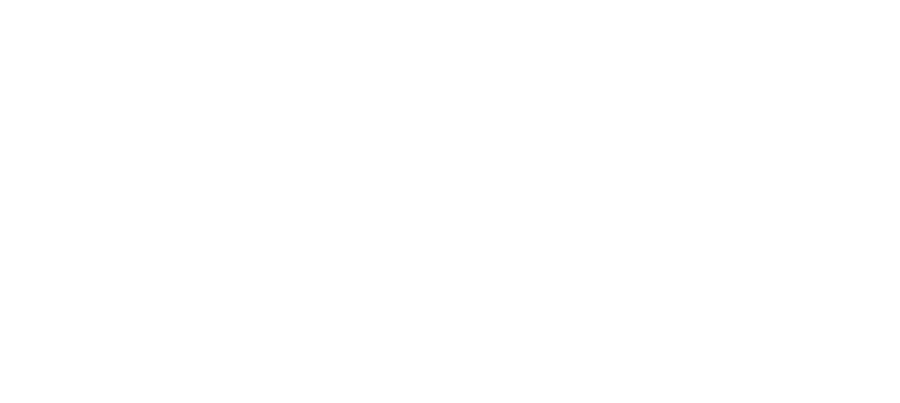 Vainer Magnani Advocacia & Consultoria Jurídica